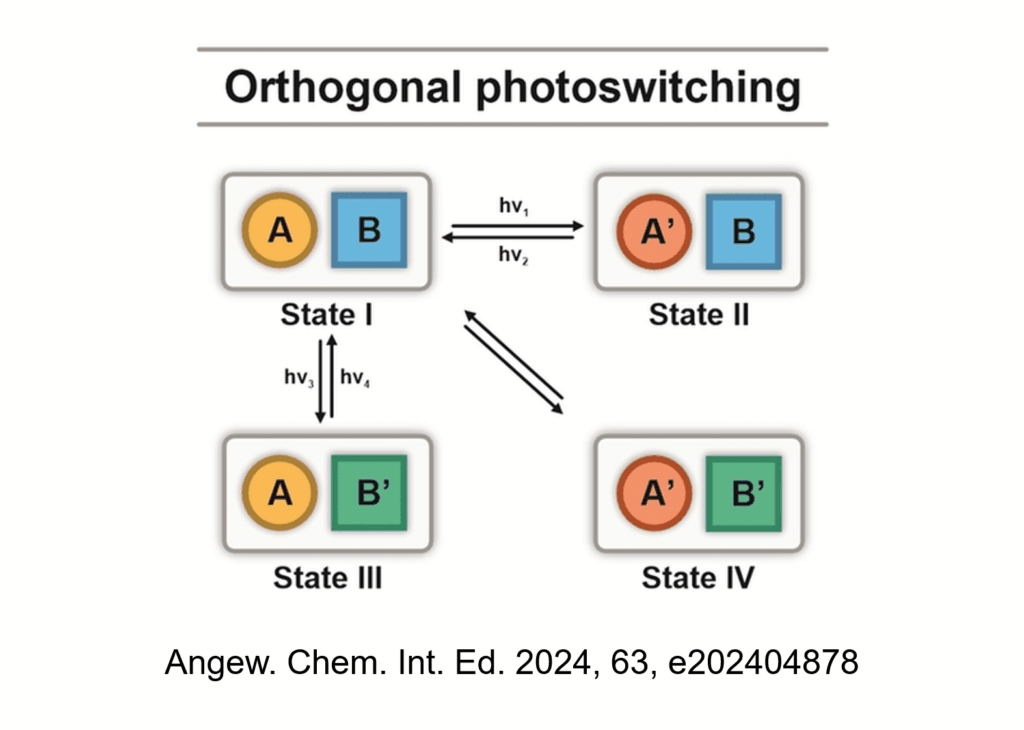 TOC Angewandte Chemie International Edition 2024 Feringa