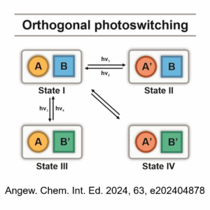 TOC Angewandte Chemie International Edition 2024 Feringa