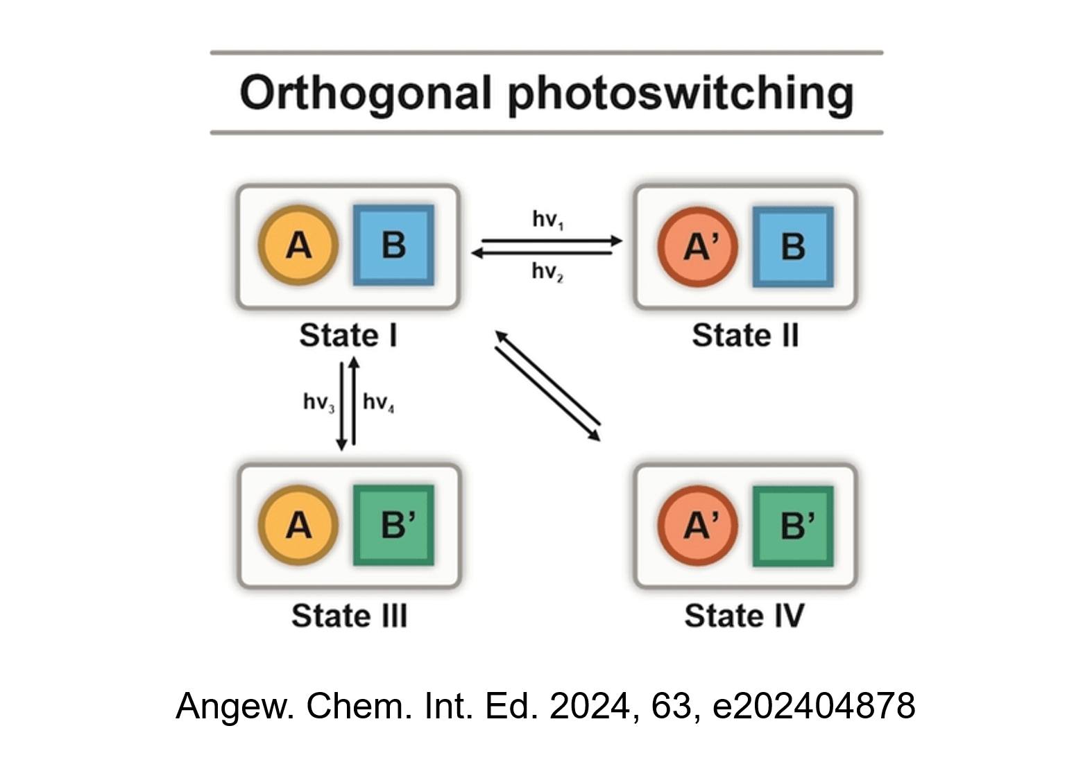 TOC Angewandte Chemie International Edition 2024 Feringa