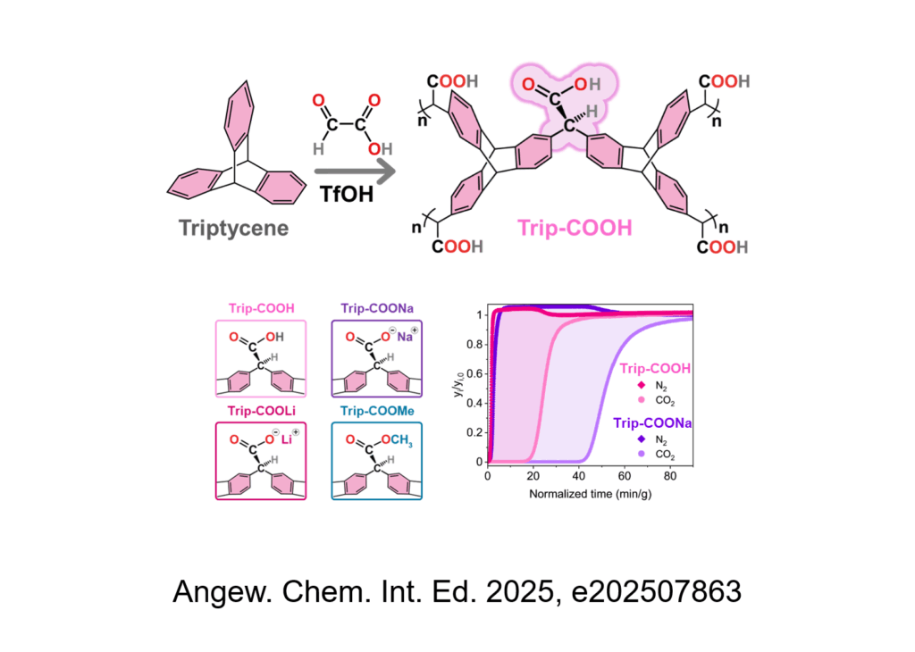 TOC Angewandte Chemie International Edition 2025 Perego