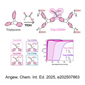 TOC Angewandte Chemie International Edition 2025 Perego