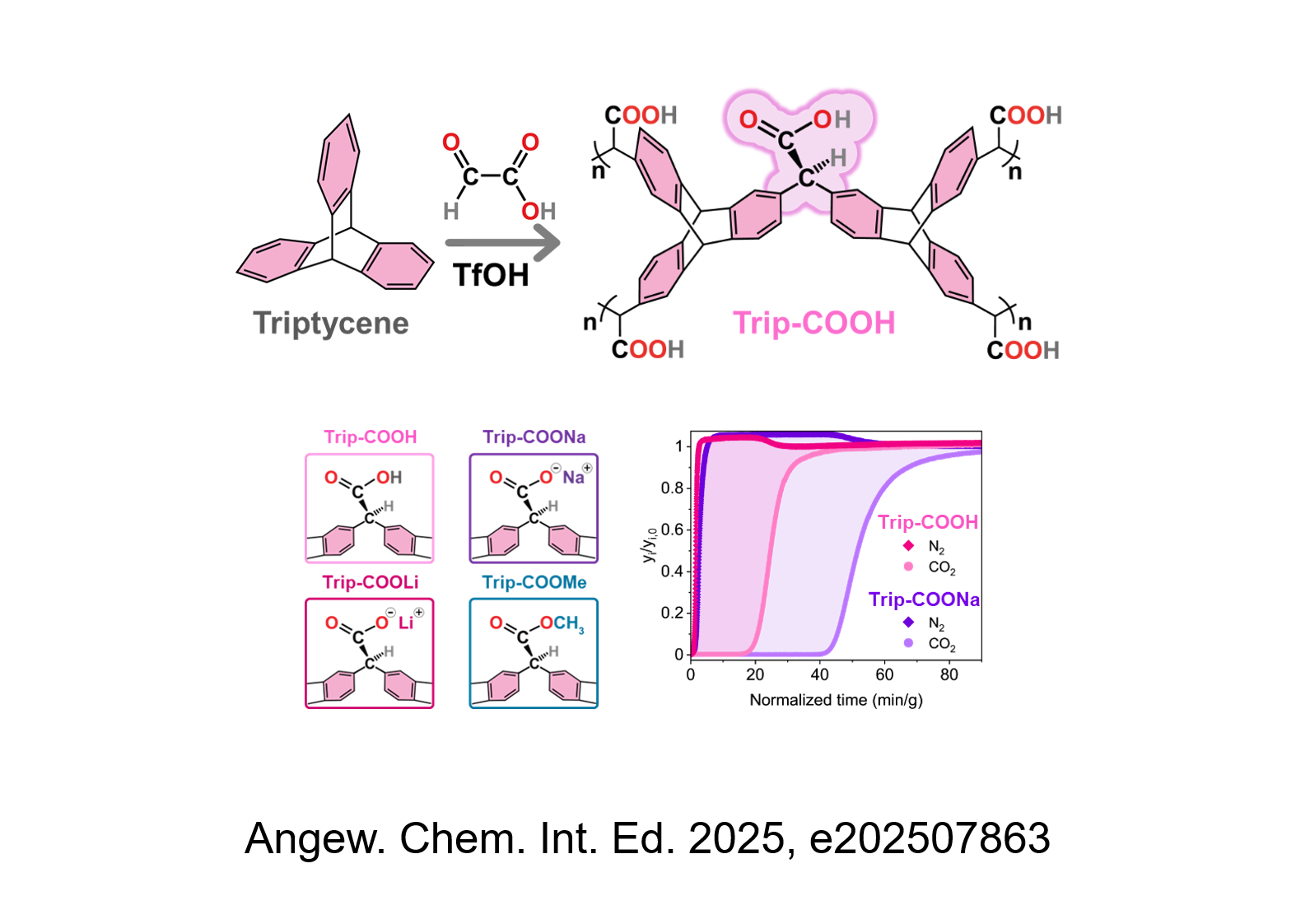 TOC Angewandte Chemie International Edition 2025 Perego