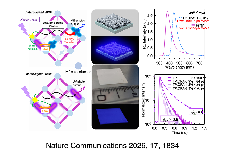 2026 Nature Communication Dhamo TOC