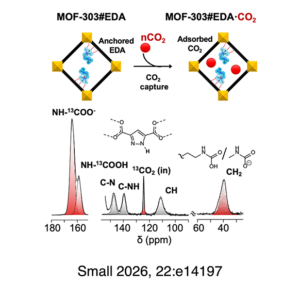 2026 Small Mastronardi TOC