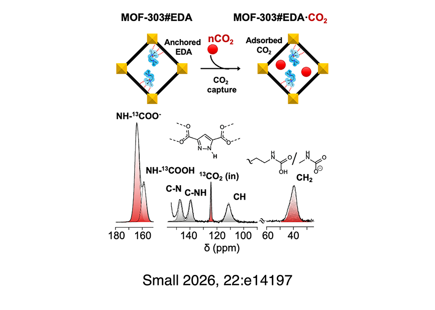 2026 Small Mastronardi TOC